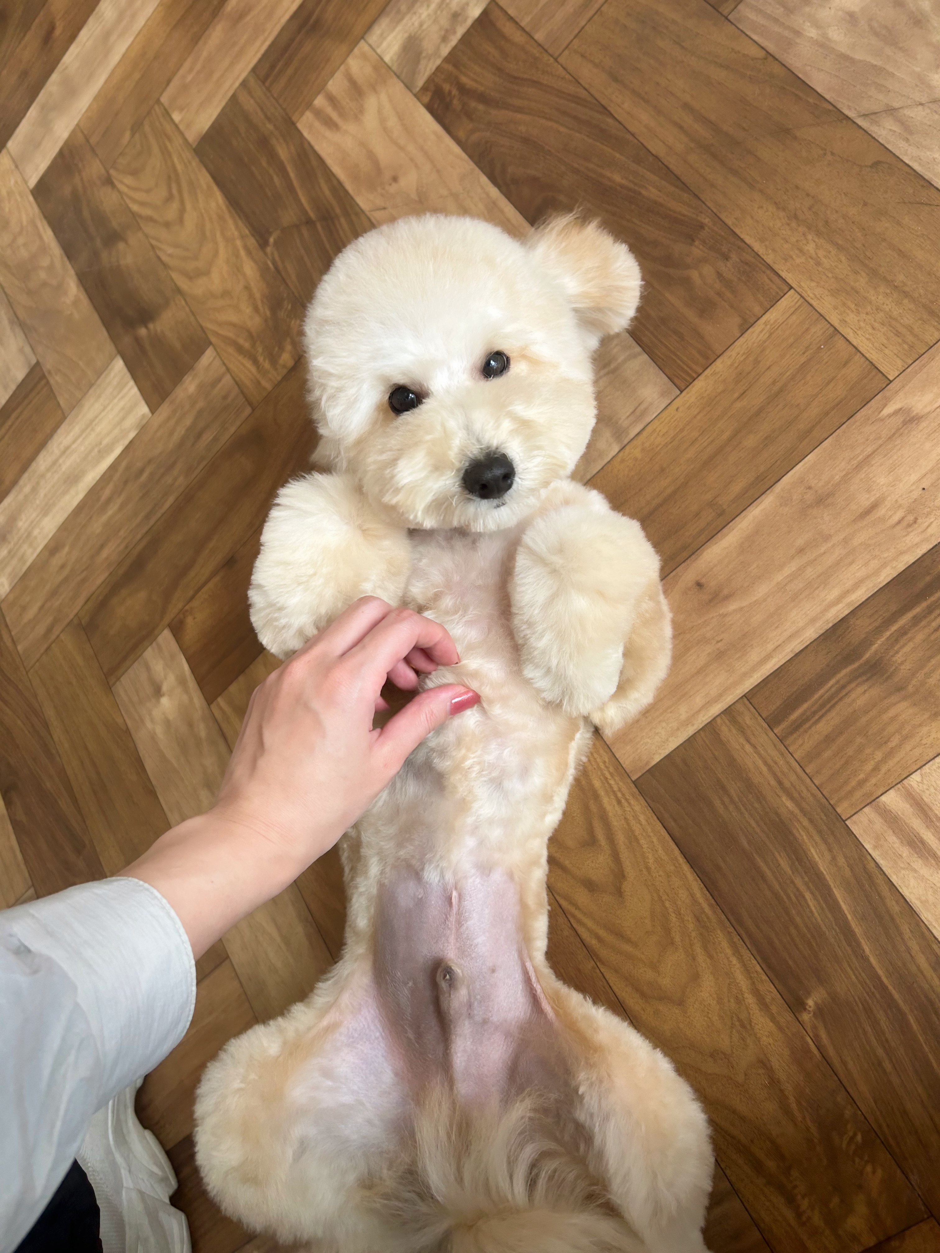 大手サロン出身！歴7年の経験を活かした確かな施術の写真