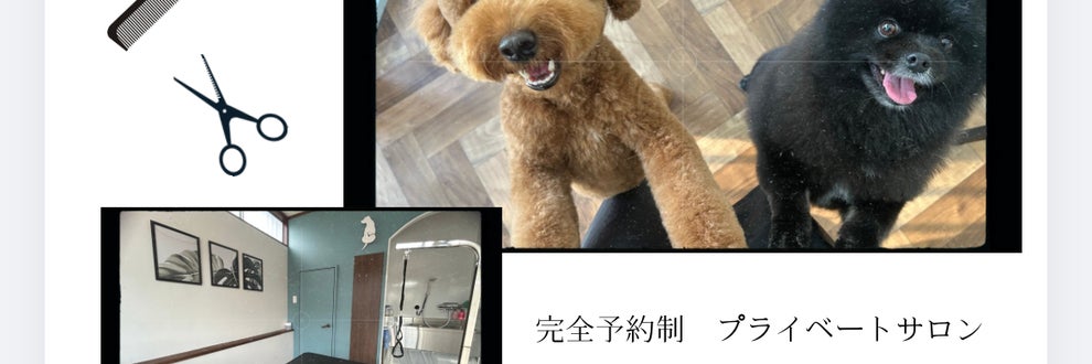 トリミングサロン　Primaの画像