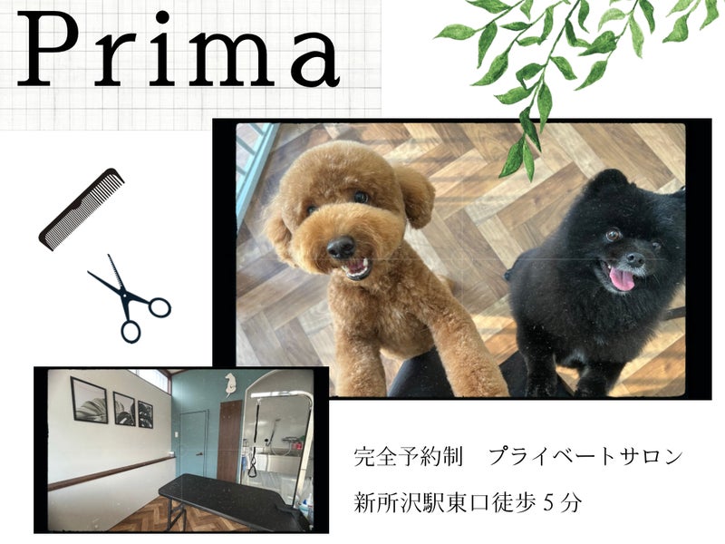 トリミングサロン　Primaの画像