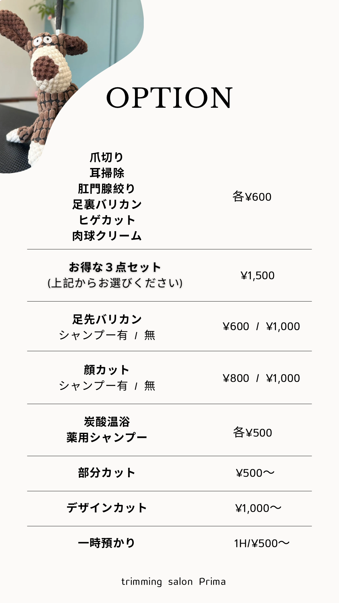 オプション　料金表の画像